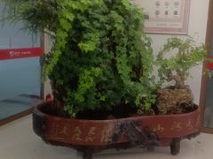-爱月宝月嫂·育儿嫂