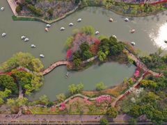 -圩墩遗址公园