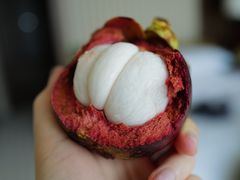 -油麻地果栏