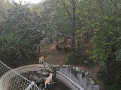 -石家庄市动物园