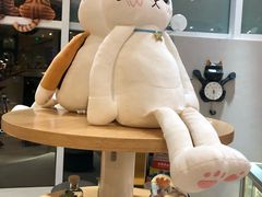 -飞行喵MR PILOT|猫舍·猫咖(静安大融城店)