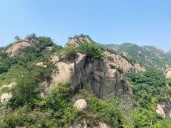 -大岭沟猕猴桃谷风景区