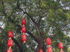 -广州莲花山旅游区