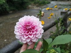 -尧上仡佬族文化村
