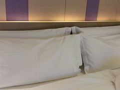 -麗枫酒店(广州中山大学中山眼科中心区庄地铁站店)