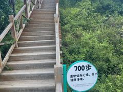 -大岭沟猕猴桃谷风景区
