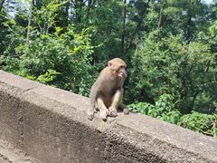 -黔灵山公园