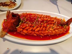 -新侨小馆(东直门北小街店)