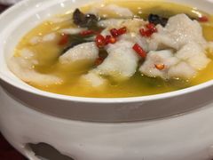 -邵年鸽(杨庄店)