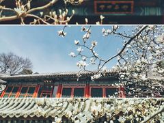 -颐和园