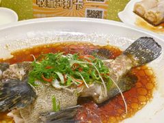 小龙趸-顺轩海鲜火锅酒家