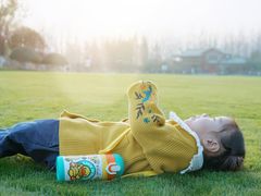 -合肥滨湖国家森林公园