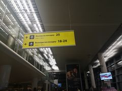 -谢列梅捷沃国际机场