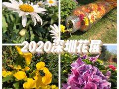-莲花山公园