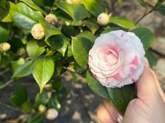 -福建泉州仙公山风景名胜区