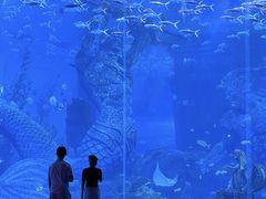-哈尔滨波塞冬海底世界