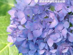 -陶然亭公园