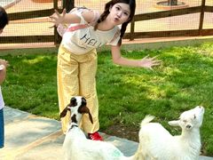 -南戴河国际娱乐中心