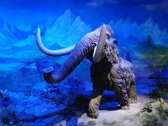 -中国第四纪冰川遗迹陈列馆