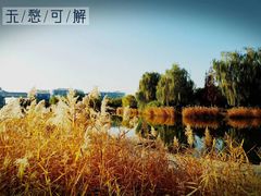 -中关村生命科学园