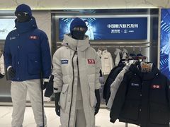 -鹏欣水游城