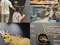 -厦门诚毅自然探索馆