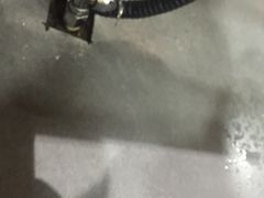 -清真·锦翔炝锅鱼(明德门店)