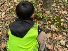 -嘉北郊野公园