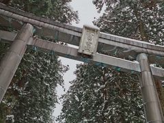 -富士山吉田線五合目