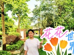 -风云岭森林公园