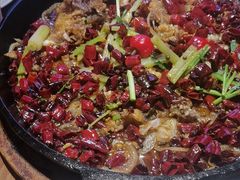 -老板恋上鱼(恒隆广场店)