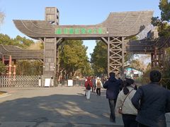 -溱湖国家湿地公园