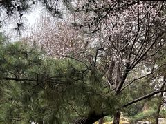 -宣武艺园