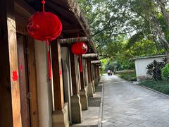 -广西壮族自治区药用植物园