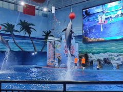 -多彩贵州城极地海洋世界