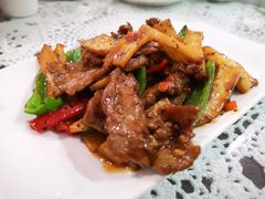 杏鲍菇黑椒牛肉-熠盛粤味·顺德桑拿鸡(永康路店)