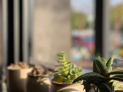 -Torch Coffee 炬点咖啡