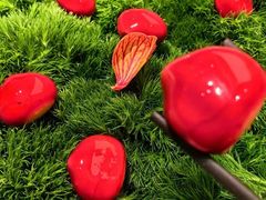 -滩外滩·本帮江浙菜(新天地店)