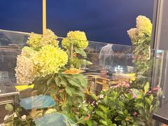 -野菌皇海景野生菌火锅(滨海大道店)