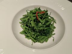 -觀芷隐轩