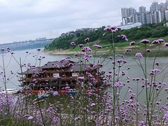 -石井坡(地铁站)