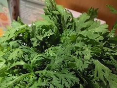 -烹然四季椰子鸡火锅(姚家园万象汇店)