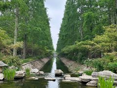 -东平国家森林公园