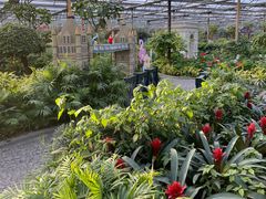 -南宫五洲植物乐园