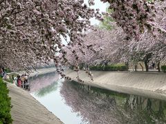 -大望京公园