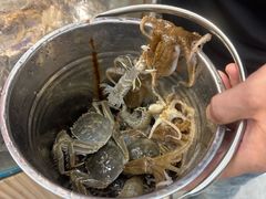 -仙螺岛海鲜自助餐厅(总店)