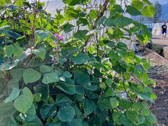 -小乡小镇·传承桐庐土菜·老板亲自烧的菜
