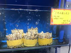 -蚝专家(北滘店)