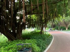 -南宁南湖公园