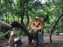 -木兰云雾山